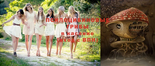 соль курить ск Каменка