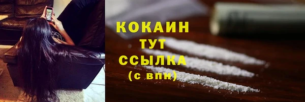 соль курить ск Каменка
