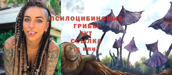 mdpv Каменск-Шахтинский